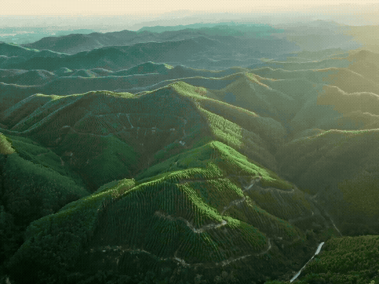 Zenmuse L3 - 라이다(LiDAR) 